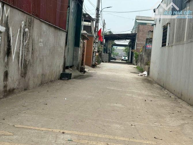 ✅ Bán 84m đất đấu giá Bến Trung, Bắc Hồng - Cạnh đường QH 40m - 1