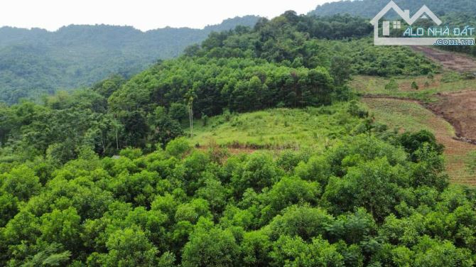 ĐẤT DÂN CẦN BÁN 50HA ĐẤT RSX F0 TẠI CAO PHONG , HÒA BÌNH CŨ ,NAY THUỘC PHÚ THỌ - 1