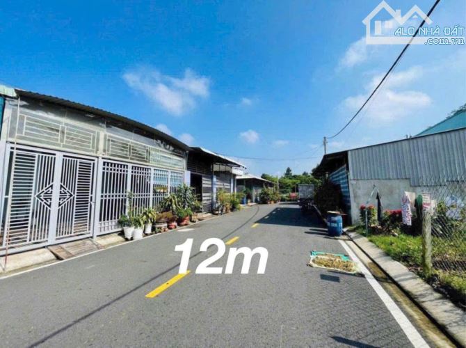 Bán đất 6x25m SHR đường Liêu Bình Hương, giá 1 tỷ 700 triệu - 1
