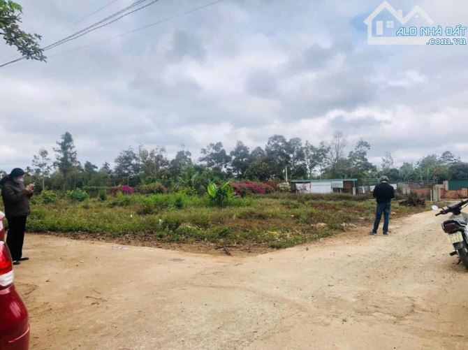 ☘️Lô đất hẻm c1 vành đai 14-26 EaTu, đối diện nhà máy nước đá, GÓC HAI MT - 1