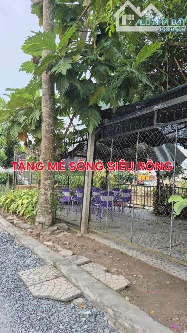 NỀN SIÊU RỘNG CÁCH CHỢ CÁI RĂNG 800M - TẶNG NHÀ VỊ TRÍ ĐẸP - CÁI RĂNG, CẦN THƠ. - 1