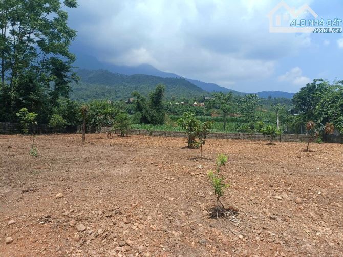 Chỉ 2.99tỷ, có ngay 2000m2 đất Minh Quang, Ba Vì, đg oto tránh, thông, view đẹp, lô góc. - 1