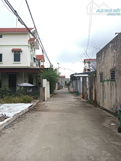 Hàng hiếm vân tảo -thường tín 💲 giá rẻ đầu tư - 1