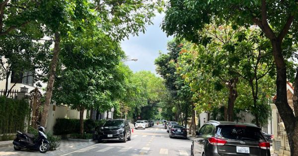 Bán KĐT BT Vườn Đào, tinh hoa quận Tây Hồ, view vườn hoa, DT 236m2, MT 12.5m - 1