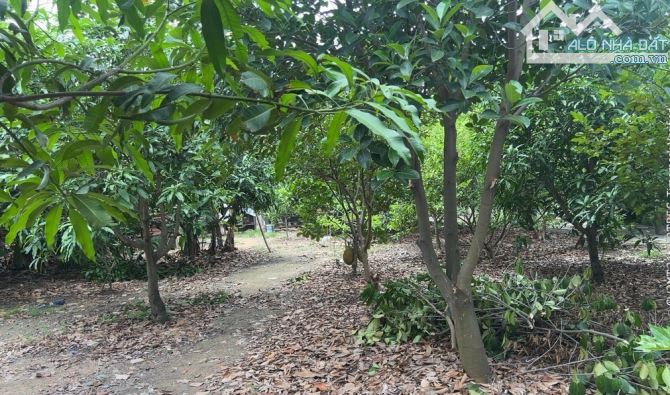 SIÊU HIẾM – Lô đất 4686M2, ngay TT Quận 2, cạnh An Phú, 120 tỷ - 1