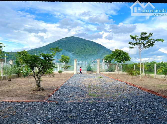 Đất view Núi Bà phường Ninh Sơn TP Tây Ninh - 1