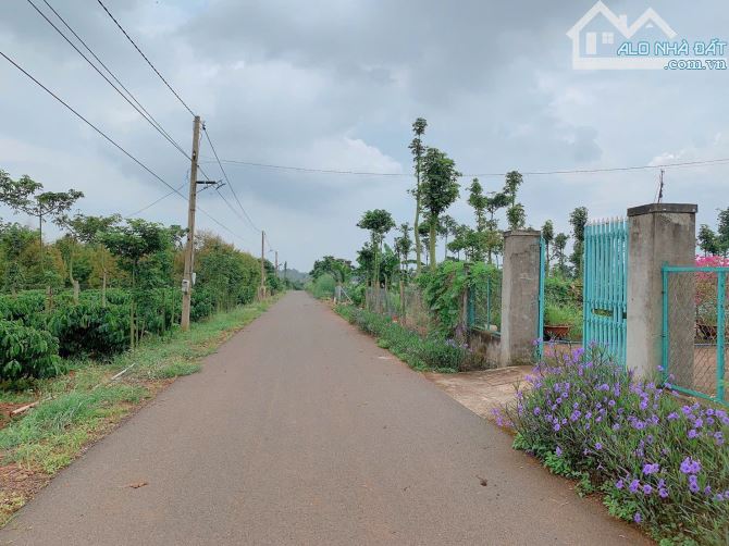 Bán khoảng 2 sào 5 (2469m2) đất xã Quảng Thành, huyện Châu Đức, BRVT. - 1