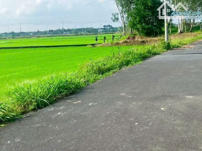 LÔ ĐẤT VIEW CÁNH ĐỒNG LÚA CỰC ĐẸP, KẾ BÊN THỊ TRẤN,THỔ CƯ, CÁCH BIỂN CHỈ 10 PHÚT DI CHUYỂN - 1