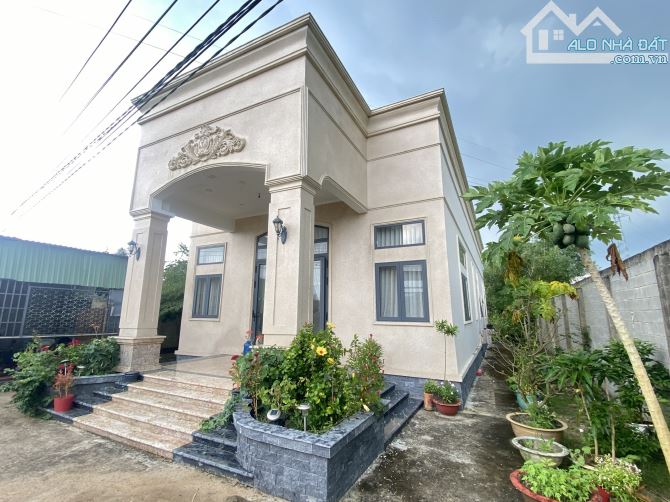 Biệt thự gần 3000m2 2 Mặt tiền liên ấp 5_6 Bình Đức cách 816 chỉ 400m - 12