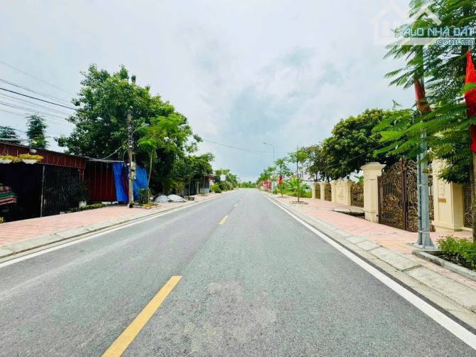 Bán đất Minh Đức - Đồ Sơn - Hải Phòng - 2