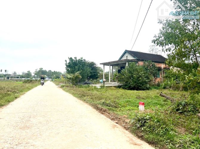 Mặt Tiền Trục Chính – Đông Lâm Phong An – Cách QL1A chỉ 400m👉300m2 chỉ 8xx triệu - 2