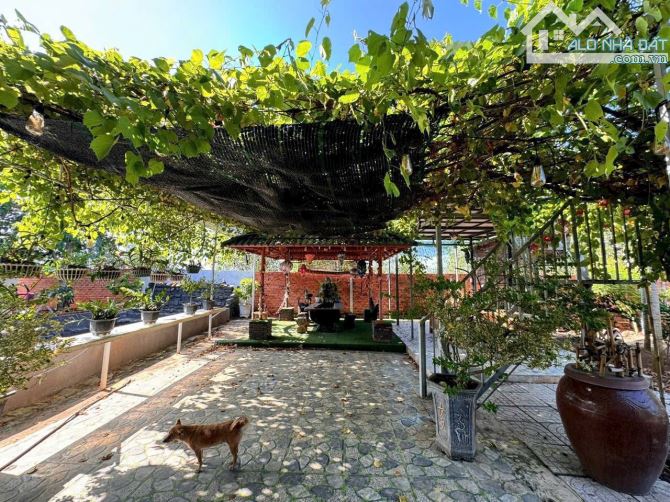 BÁN NHÀ VƯỜN RỘNG 1500M2 - LÀM HOMSTAY GẦN BIỂN LỘC AN - ĐẤT ĐỎ,BRVT - 2