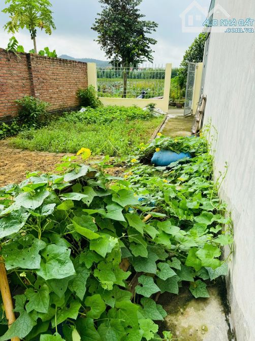 Cần bán Lô Thổ Cư khu Ba Huyện - Tp.Bắc Ninh, oto vào tận đất. 👉 103m2 - Mt:5m - Đông N - 2