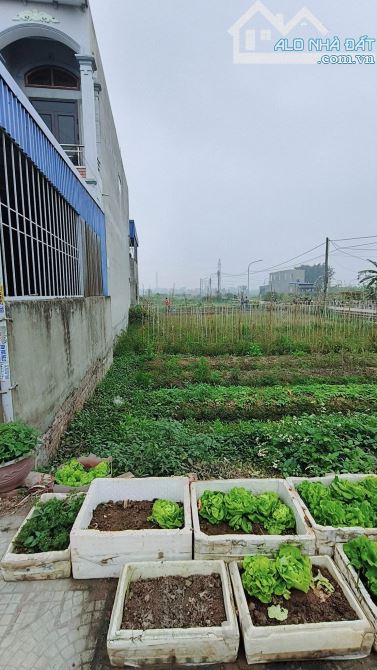 Đất mặt đường Minh Kha, kinh doanh buôn bán tốt, đẹp không lỗi lầm - 2