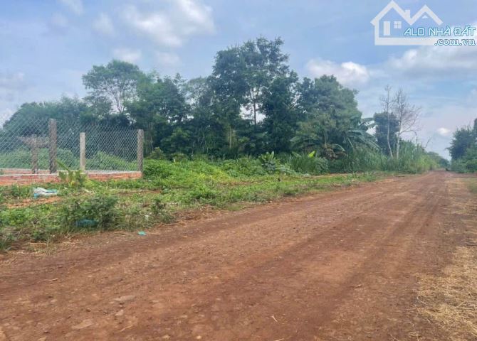 15x40m ĐẤT ĐẸP. NỞ HẬU 24m. ĐƯỜNG 15m. HẺM CẤP 1 QL14-NGAY UBND CUORDANG - 2