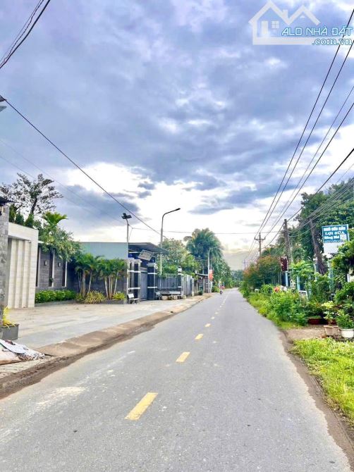 20 NỀN ĐẤT SỔ HỒNG RIÊNG NGAY CHỢ TÂN BÌNH - GIÁ TỪ 1TY120 - 2