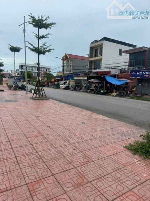 Đấu giá Đồng Nẻo Đồ Sơn Hải Phòng - 2