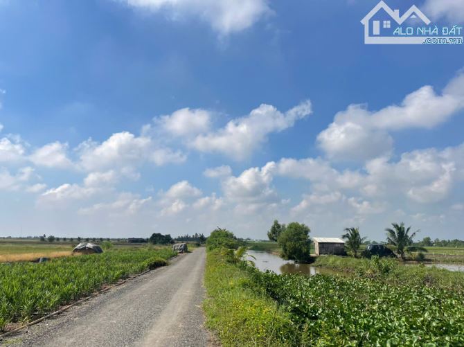 (50x52) đất nền đẹp, thổ cư b.á.n 1 tỷ 350 triệu gần biển Rạch Bùn, Tân Điền, Gò Công Đông - 2
