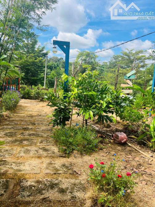 ĐẤT VƯỜN 609m2 ĐƯỜNG 19/5 GIÁ 990 TRIỆU - 2