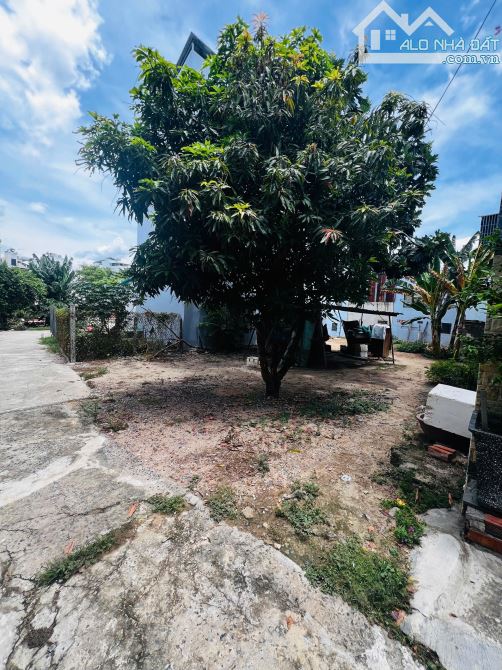 Đất dân Phước Hải ngay vòng xoay Thích Quảng Đức - Phong Châu ngang 10m - 2