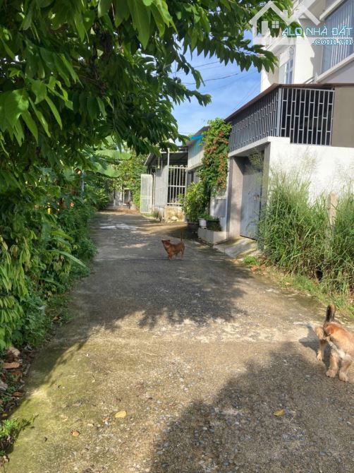⚡Lô đất NGANG HƠN 6M thôn An Ninh - Diên An - Diên Khánh - 2