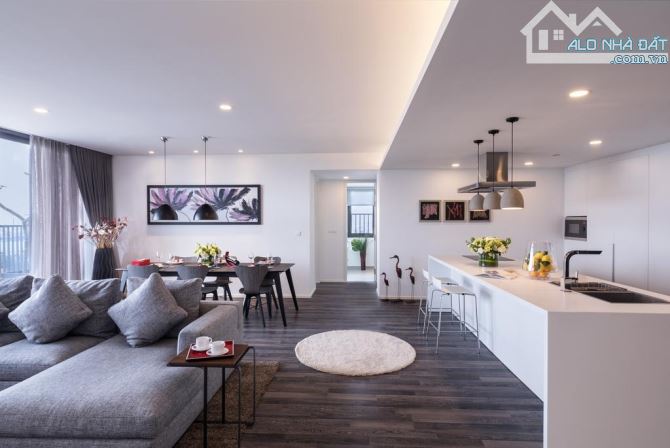 Bán nhà khu người Nhật phố Phan Kế Bính, tòa căn hộ 8 tầng thang máy, doanh thu 100tr/thán - 2