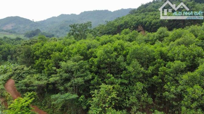 ĐẤT DÂN CẦN BÁN 50HA ĐẤT RSX F0 TẠI CAO PHONG , HÒA BÌNH CŨ ,NAY THUỘC PHÚ THỌ - 2