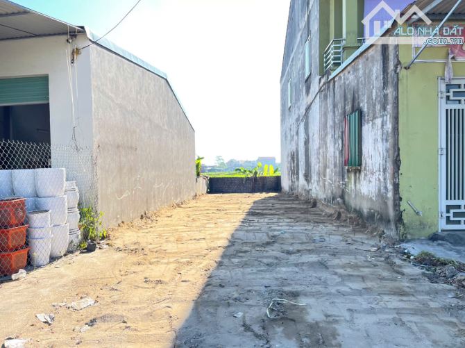 ĐẤT KINH DOANH MẶT ĐƯỜNG 46 TRUNG TÂM NGHI THẠCH GẦN CHỢ SƠN - 2