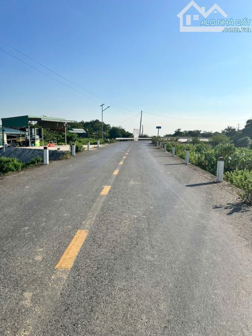 Bán đất kèm nhà cấp 4 trục chính cá đồng Hàm Thắng - 5