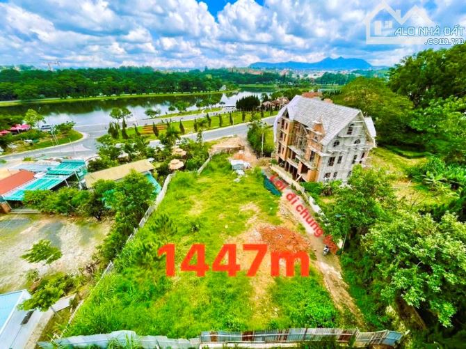 Bán lô đất Vip trung tâm Đà Lạt : 1.447m² .230 tỷ - 2