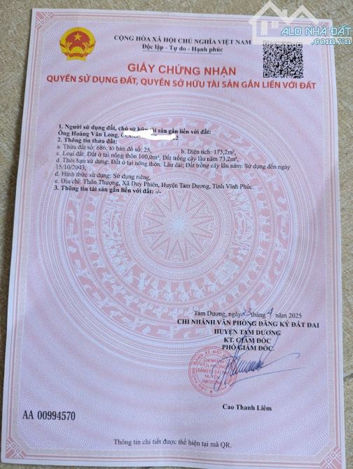 BÁN gấp lô đất hiếm Kim Long, Tam Dương sát trường THCS Duy Phiên 173,2m mt5,05m 1tỷ150tr - 2