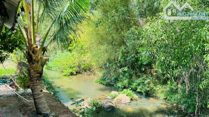 4140m2- thổ cư 100m2 đất thị trấn Đất Đỏ- SUỐI CHẢY 4 MÙA BAO QUANH ĐẤT - 2