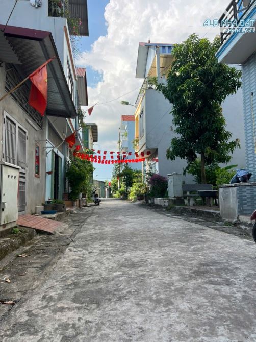 Bán đất tại xóm thọ đường xã đại yên  huyện chương mỹ -HÀ NỘI - 2