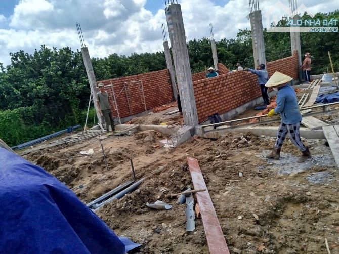 Chỉ 1,67 tỷ sở hữu đất 2 mặt tiền Long Chiến Tân Triều – xây dựng tự do - 2