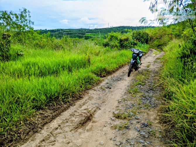 Cần bán gấp 3.270m2 đất tại xã Ninh Gia,Lâm Đồng chỉ 620 triệu - 2