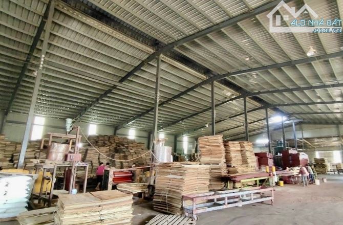 XT528 cho thuê xưởng sản xuất tiếp nhận nhiều ngành nghề ổn định - 2