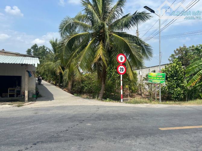 Biệt thự gần 3000m2 2 Mặt tiền liên ấp 5_6 Bình Đức cách 816 chỉ 400m - 2