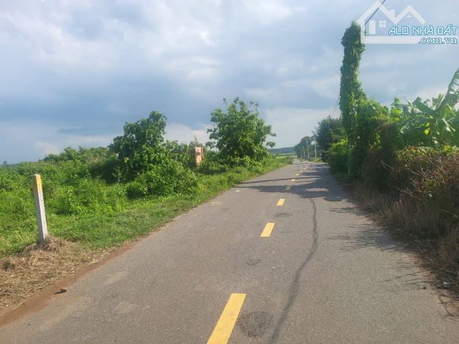 MẶT TIỀN ĐƯỜNG NHỰA XÃ LÁNG DÀI , ĐẤT ĐỎ , LONG ĐẤT , BÀ RỊA VŨ TÀU - 2