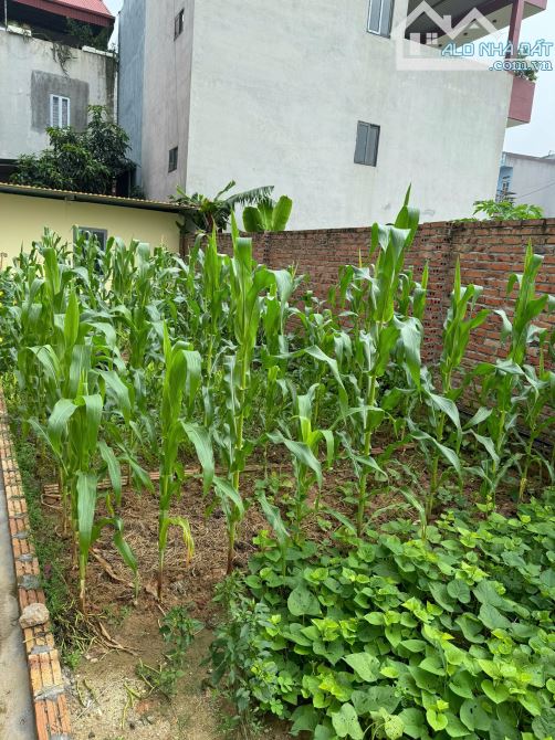 Cần bán Lô Thổ Cư khu Ba Huyện - Tp.Bắc Ninh, oto vào tận đất. 👉 103m2 - Mt:5m - Đông N - 3