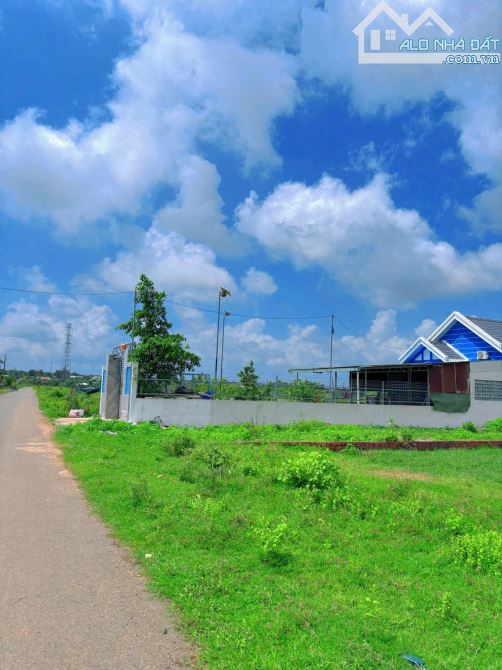 NGỘP BÁN GẤP 2 LÔ ĐẤT 126M2 CẠNH CAO TỐC BH-VT, GIÁ SIÊU RẺ, ĐẦU TƯ CÓ LỜI NGAY - 3