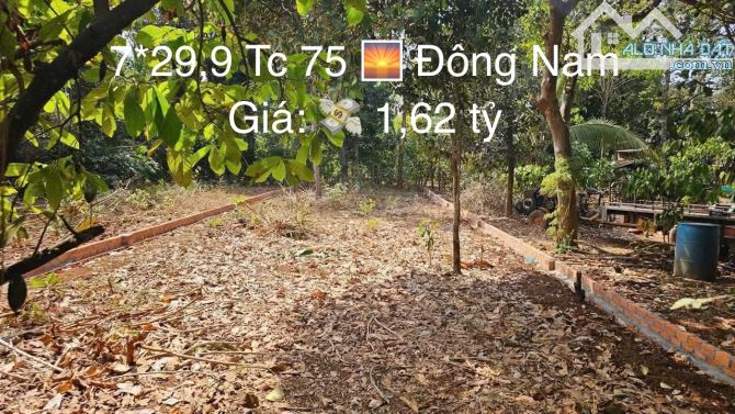 Bán đất ngay Trục Lộ 1 Buôn Ky gần Nguyễn Thị Định P Thành Nhất- Daklak - 3