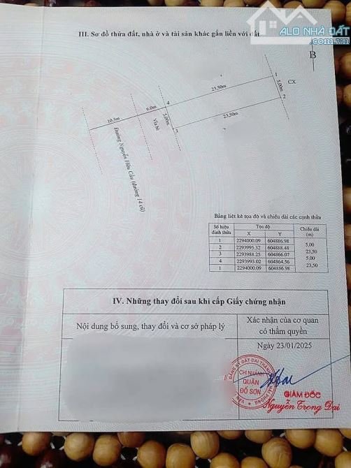 Đấu giá Đồng Nẻo Đồ Sơn Hải Phòng - 3