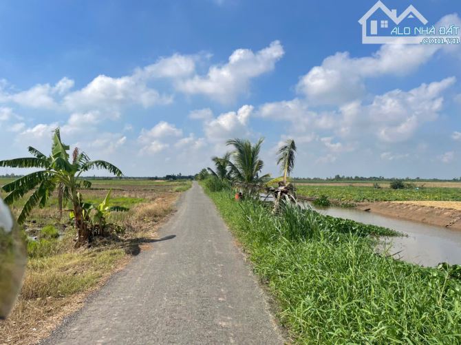 (50x52) đất nền đẹp, thổ cư b.á.n 1 tỷ 350 triệu gần biển Rạch Bùn, Tân Điền, Gò Công Đông - 3