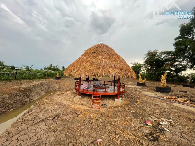 Cơ hợi sở hữu đất MẶT TIỀN Tỉnh 879B, gần cầu Bình Cách, Tân Bình Thành, Chợ Gạo.Giá ngộp. - 3