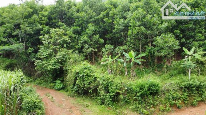 ĐẤT DÂN CẦN BÁN 50HA ĐẤT RSX F0 TẠI CAO PHONG , HÒA BÌNH CŨ ,NAY THUỘC PHÚ THỌ - 3