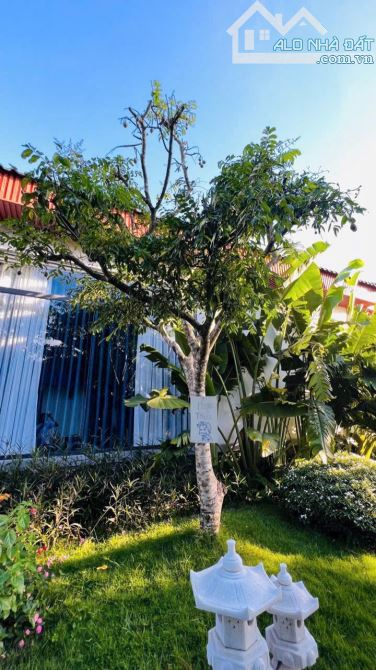 Villa Bông Trang - Xuyên Mộc - BRVT; nay là Xã Hồ Tràm - TP HCM  🌈🌈🌈DT 2248M2 - - 3