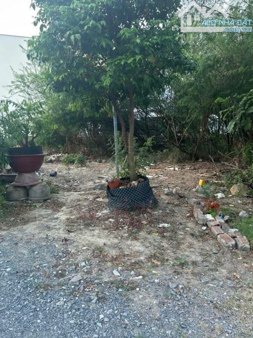 Bán Lô Đất Vĩnh Châu - xã Vĩnh Hiệp Sát Bên Khu Đô Thị Mỹ Gia   - DT: 73m2 ( ngang 8,3 mét - 3