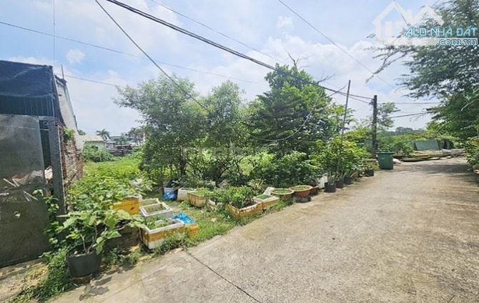 Bán Đất Thổ Cư Mặt Tiền đường xe tải 12M phường Bình Trưng Đông Quận 2 ngang ~11m - 3