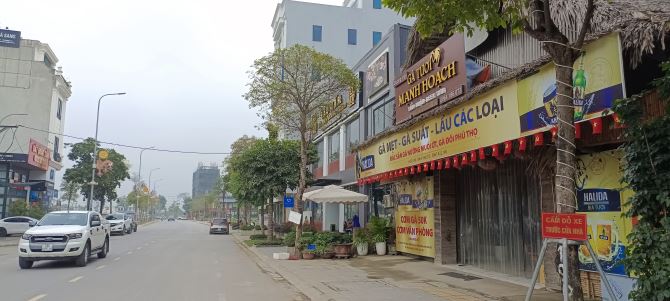 Bán đất Khu đấu giá X7 Vườn Đào, Uy Nỗ, Đông Anh: DT 115M2, MT 7M, giá đầu tư! - 3