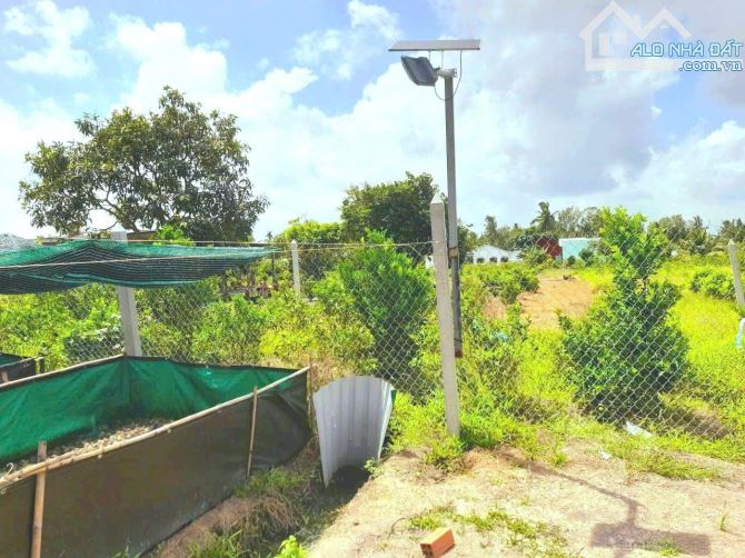 Quá ngộp, 1172m2 đất thổ 22 x 51m, KDC Mỹ Thạnh, chốt 850 tr - 3